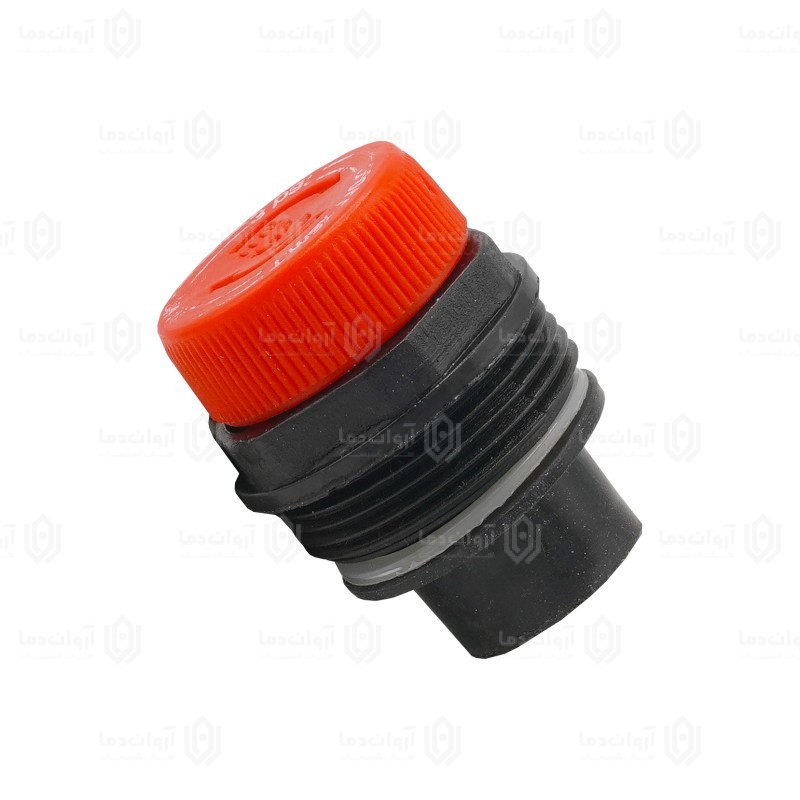 کلگی مغزی شیر اطمینان تایپ 2 (کوتاه)
